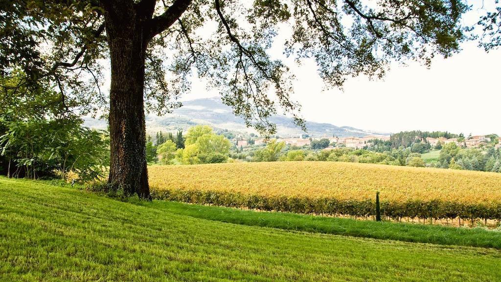 Casa Fabbrini Agriturismo 圣卡西亚诺·戴·巴格 外观 照片